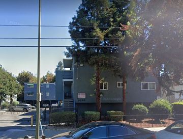 San Jose apartment for rent - a green building with a tree in front of it