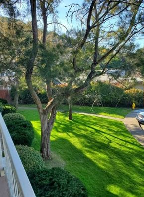 San Carlos apartment for rent - Alrod Apartments 352 Caprino Way  San Carlos, CA 94070