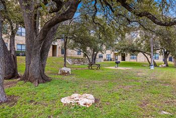 A tree in a grassy area with a building in the background.