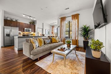 Austin apartment for rent - A modern living room with a grey couch and a wooden floor.