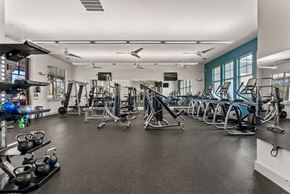 Austin apartment for rent - Cardio Machines at Bridge at Indigo, Austin, Texas