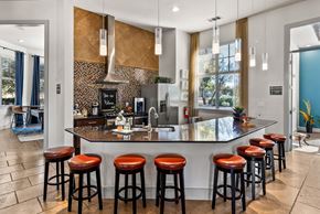 Austin apartment for rent - European-Style Kitchen With Breakfast Bar at Bridge at Indigo, Texas