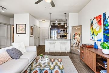 Austin apartment for rent - A living room with a white couch and a colorful rug.