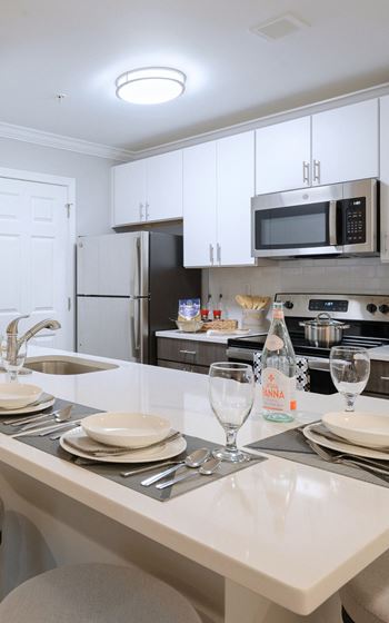 Stainless steel appliances