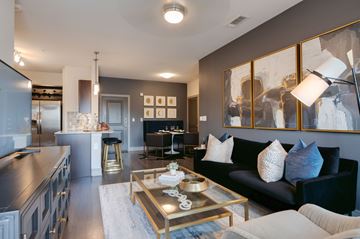 Houston apartment for rent - A modern living room with a black couch and a coffee table.