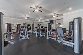 Little Rock apartment for rent - Fitness Equipment at Arlo Luxury Apartment Homes, Little Rock, AR