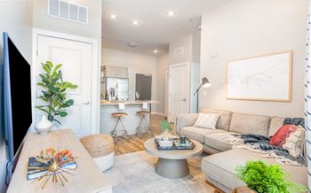 Apartment living room 