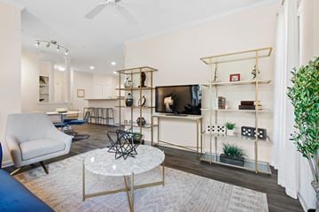 Durham apartment for rent - A living room with a white rug and a white sofa.
