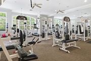 Hardeeville apartment for rent - A gym with a variety of equipment including treadmills, weights, and exercise machines.