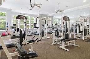 Hardeeville apartment for rent - A gym with a variety of equipment including treadmills, weights, and exercise machines.