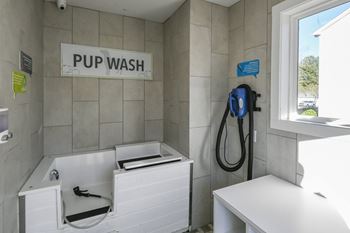 Pet wash