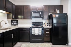Savannah apartment for rent - a black and white kitchen with black appliances and black cabinets at Legends at Chatham Apartments, Savannah