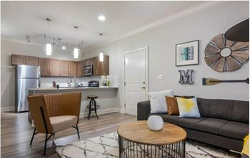 Living room and kitchen 