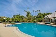 Jacksonville apartment for rent - A large swimming pool surrounded by palm trees and a building.
