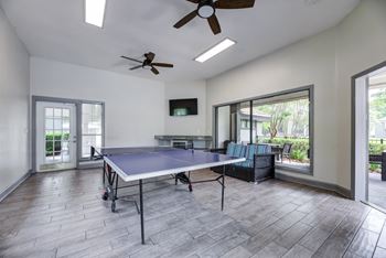 Ping pong arena