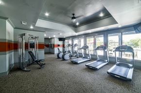 Chattanooga apartment for rent - a gym with cardio equipment and windows at Parc 1346, Chattanooga, 37421