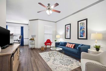 Living room with television