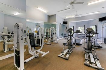 Gym with a variety of equipment including treadmills, stationary bikes, and weight machines