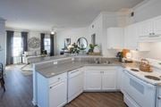 Cordova apartment for rent - Elegant And Timeless Kitchen at Trailside at Greenline, Cordova, Tennessee