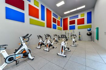 Peloton bikes