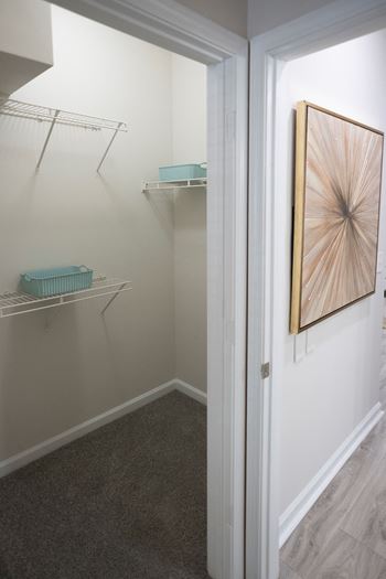 Large closet view