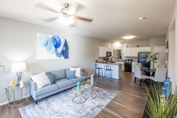 Memphis apartment for rent - A living room with a grey couch and a blue rug.