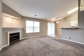 Centerville apartment for rent - A spacious living room with a fireplace and carpeted floor.