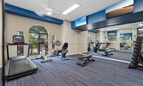 West Palm Beach apartment for rent - A gym with treadmills, exercise bikes, and other equipment.
