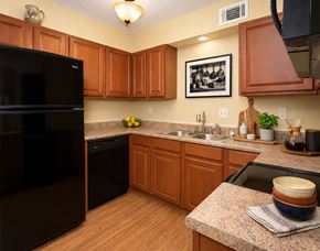 Bethany apartment for rent - A black refrigerator sits in a kitchen with wooden cabinets and a granite counter.