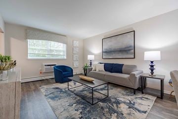 Allentown apartment for rent - A living room with a blue rug and a grey couch.