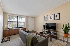 New Port Richey townhouse for rent - A living room with a grey couch, a coffee table, a flat screen TV, and a potted plant.