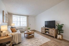 Frankfort apartment for rent - A living room with a couch, a coffee table, a television, and a potted plant.