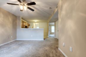 Salisbury apartment for rent - Interior