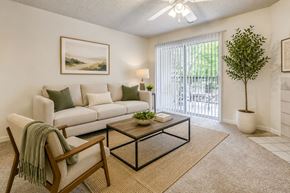 Fayetteville apartment for rent - A living room with a white couch, a green throw blanket, a wooden chair, a glass coffee table, and a potted plant.