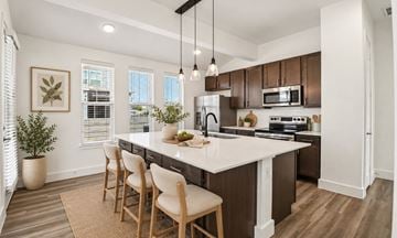 Mckinney townhouse for rent - Elevate at Skyline Townhomes