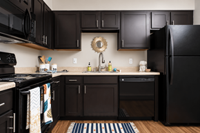 Louisville apartment for rent - A black kitchen with a black fridge and black cabinets.