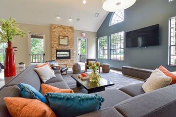 Louisville apartment for rent - A living room with a grey couch and a fireplace.