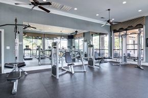 Mcdonough apartment for rent - the gym at the estates apartments