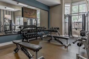 South Bend apartment for rent - A gym with a variety of equipment including weights and benches.