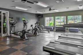 Wyoming apartment for rent - A gym with treadmills, elliptical machines, and a fan.