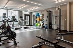 Chicago apartment for rent - A gym with a variety of equipment including treadmills, exercise balls, and weight machines.