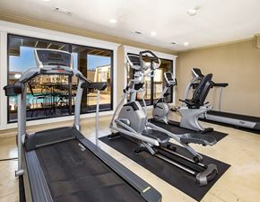Bethany apartment for rent - A home gym with treadmills, elliptical machines, and a stationary bike.