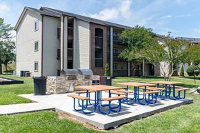 Rock Hill apartment for rent - A series of blue and brown picnic tables are in front of a building.