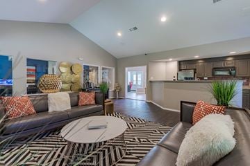 Columbia apartment for rent - a living room with couches and a coffee table