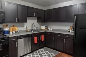 South Bend apartment for rent - A kitchen with black cabinets and a black refrigerator.