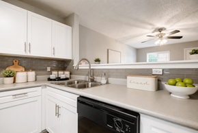 Salisbury apartment for rent - A modern kitchen with white cabinets and a black dishwasher.