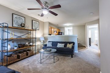 Charlotte apartment for rent - a living room with a couch and a ceiling fan