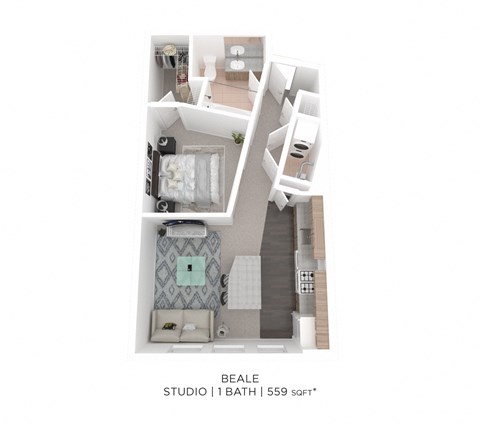 Floor plan for studio, 1 bath, 559 sqft