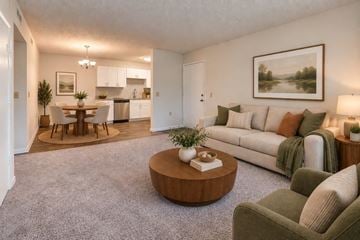 Fayetteville apartment for rent - A living room with a grey carpet and a green couch.