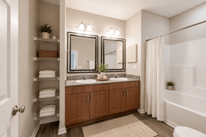 Fayetteville apartment for rent - A bathroom with a vanity, mirror, and towel storage.